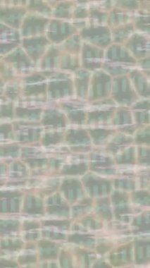 Profesyonel video projeleri sanat tarzı için organik hareketli arkaplan tasarımı