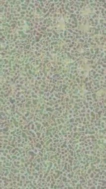 Estetik doku arkaplan tasarımı renkli hareket grafikleri ile moda film giriş profosyoneli