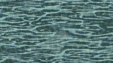 Dijital doku yüzey tasarım biçimi ile modern video animasyonu için gelişmiş hareket grafikleri