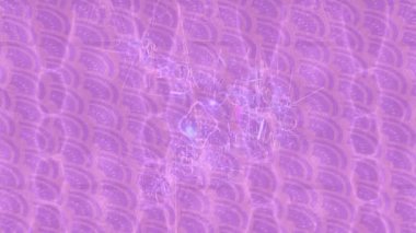 Dijital doku yüzey tasarım biçimi ile modern video animasyonu için gelişmiş hareket grafikleri