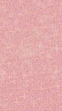 Benzersiz dijital hareket grafiklerine sahip yaratıcı sinematik projeler için yumuşak animasyon yüzeyi