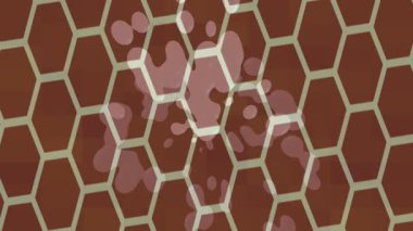 Benzersiz dijital hareket grafiklerine sahip yaratıcı sinematik projeler için yumuşak animasyon yüzeyi