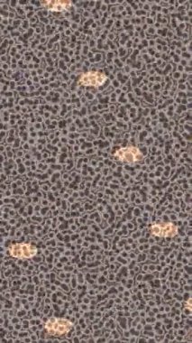 Organik desenli yüzey giriş stili video film sanatı ile soyut arkaplan tasarımı