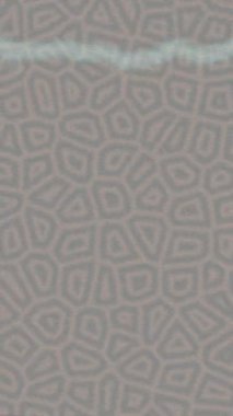 Estetik doku arkaplan tasarımı renkli hareket grafikleri ile moda film giriş profosyoneli