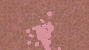 Benzersiz video giriş tasarımı projeleri için detaylı yüzey kalıbı film animasyon stili grafik girişi