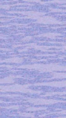 Benzersiz hareket dokusu tasarım sanatı ile profesyonel video düzenleme için modern soyut grafikler