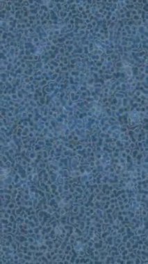 Lüks hareket projeleri için soyut tasarım stili animasyonu olan üst düzey dijital doku