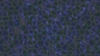 Yaratıcı video düzenleme film tasarımı için benzersiz hareket grafikleri biçimi giriş hareketi video pro