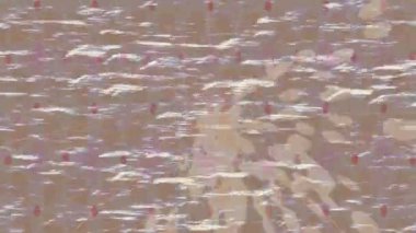 Benzersiz video giriş tasarımı projeleri için detaylı yüzey kalıbı film animasyon stili grafik girişi