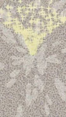 Benzersiz dijital hareket grafiklerine sahip yaratıcı sinematik projeler için yumuşak animasyon yüzeyi