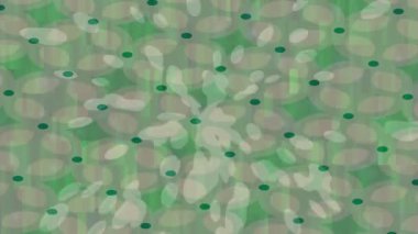 Benzersiz dijital hareket grafiklerine sahip yaratıcı sinematik projeler için yumuşak animasyon yüzeyi