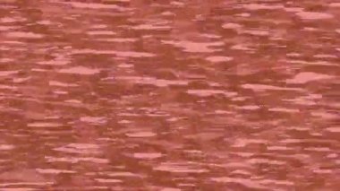 Benzersiz hareket dokusu tasarım sanatı ile profesyonel video düzenleme için modern soyut grafikler