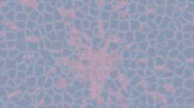 Benzersiz hareket grafikleri tasarım sanatına sahip yaratıcı film üretimi için özet bir arkaplan