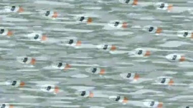 Yaratıcı video düzenleme film tasarımı için benzersiz hareket grafikleri biçimi giriş hareketi video pro