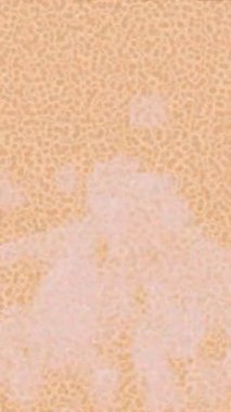 Yaratıcı video düzenleme film tasarımı için benzersiz hareket grafikleri biçimi giriş hareketi video pro