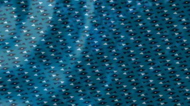 Benzersiz dijital hareket grafiklerine sahip yaratıcı sinematik projeler için yumuşak animasyon yüzeyi