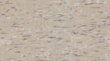 Benzersiz video giriş tasarımı projeleri için detaylı yüzey kalıbı film animasyon stili grafik girişi