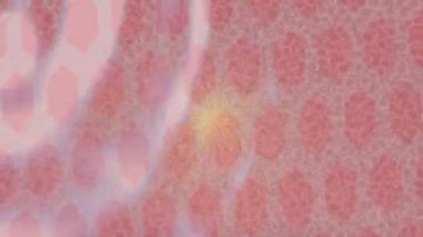 Yaratıcı video düzenleme film arkaplan tasarımı için minimalist organik hareket grafikleri