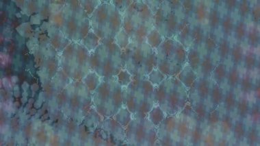 Benzersiz hareket grafikleri tasarım sanatına sahip yaratıcı film üretimi için özet bir arkaplan