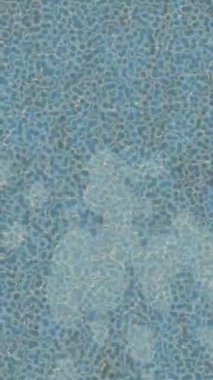 Benzersiz dijital animasyon tarzı grafikleri olan yaratıcı ortam tasarımı için yenilikçi hareket dokusu