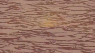 Lüks hareket tasarımı üst düzey video projeleri ve dijital sanat için zarif, pürüzsüz bir dokusu var.