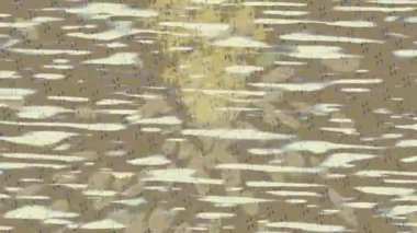 Organik desenli yüzey giriş stili video film sanatı ile soyut arkaplan tasarımı