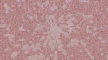 Benzersiz dijital animasyon tarzı grafikleri olan yaratıcı ortam tasarımı için yenilikçi hareket dokusu