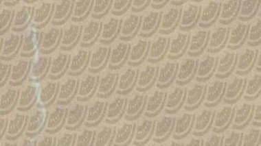 Benzersiz hareket grafikleri tasarım sanatına sahip yaratıcı film üretimi için özet bir arkaplan