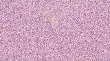 Benzersiz hareket grafikleri tasarım sanatına sahip yaratıcı film üretimi için özet bir arkaplan