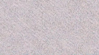 Benzersiz dijital animasyon tarzı grafikleri olan yaratıcı ortam tasarımı için yenilikçi hareket dokusu