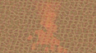 Yaratıcı video düzenleme film arkaplan tasarımı için minimalist organik hareket grafikleri