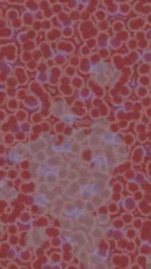 Dijital doku yüzey tasarım biçimi ile modern video animasyonu için gelişmiş hareket grafikleri