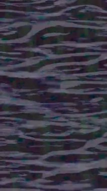 Profesyonel video projeleri sanat tarzı için organik hareketli arkaplan tasarımı