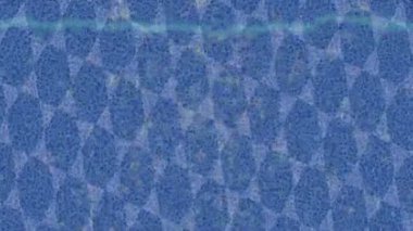 Benzersiz dijital hareket grafiklerine sahip yaratıcı sinematik projeler için yumuşak animasyon yüzeyi