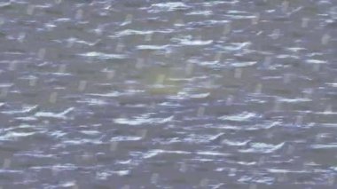 Lüks hareket projeleri için soyut tasarım stili animasyonu olan üst düzey dijital doku