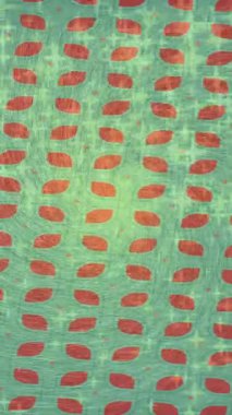 Lüks hareket tasarımı üst düzey video projeleri ve dijital sanat için zarif, pürüzsüz bir dokusu var.