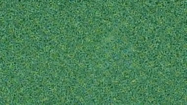 Yaratıcı video düzenleme film arkaplan tasarımı için minimalist organik hareket grafikleri