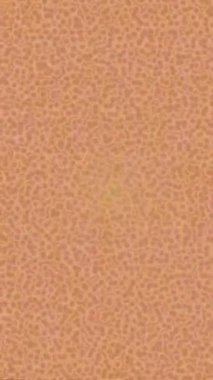 Benzersiz dijital animasyon tarzı grafikleri olan yaratıcı ortam tasarımı için yenilikçi hareket dokusu