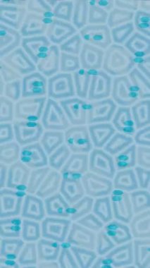 Yaratıcı video düzenleme film arkaplan tasarımı için minimalist organik hareket grafikleri