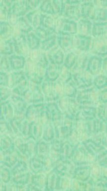 Yaratıcı video düzenleme film arkaplan tasarımı için minimalist organik hareket grafikleri