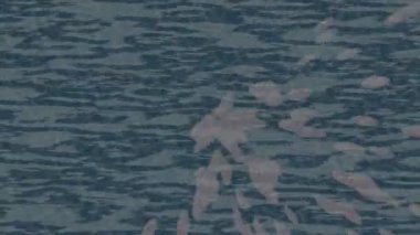 Profesyonel video projeleri sanat tarzı için organik hareketli arkaplan tasarımı