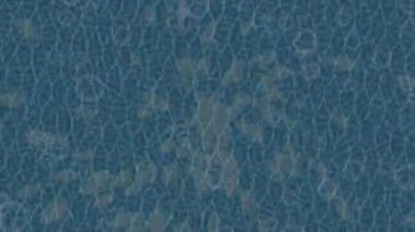 Benzersiz dijital animasyon tarzı grafikleri olan yaratıcı ortam tasarımı için yenilikçi hareket dokusu