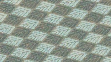 Lüks hareket projeleri için soyut tasarım stili animasyonu olan üst düzey dijital doku