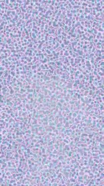 Yaratıcı video düzenleme film arkaplan tasarımı için minimalist organik hareket grafikleri