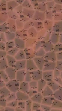 Lüks hareket tasarımı üst düzey video projeleri ve dijital sanat için zarif, pürüzsüz bir dokusu var.