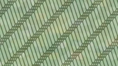 Lüks hareket tasarımı üst düzey video projeleri ve dijital sanat için zarif, pürüzsüz bir dokusu var.