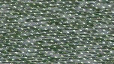 Benzersiz video giriş tasarımı projeleri için detaylı yüzey kalıbı film animasyon stili grafik girişi