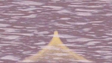 Estetik doku arkaplan tasarımı renkli hareket grafikleri ile moda film giriş profosyoneli