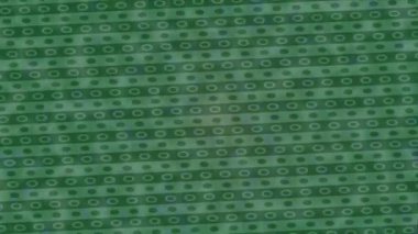 Dijital doku yüzey tasarım biçimi ile modern video animasyonu için gelişmiş hareket grafikleri