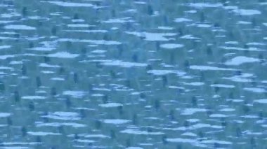 Yaratıcı video düzenleme film tasarımı için benzersiz hareket grafikleri biçimi giriş hareketi video pro